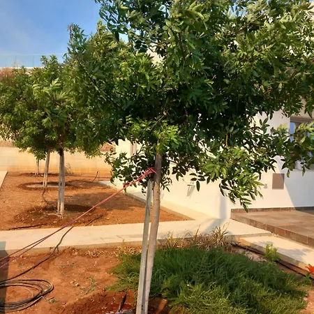 Galatia's House * 코우클리아