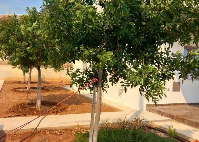 Galatia's House * Kouklia